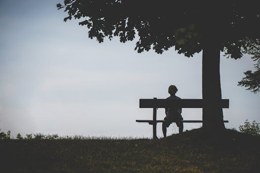 A lone silhouette on a bench under a tree evokes solitude at twilight.