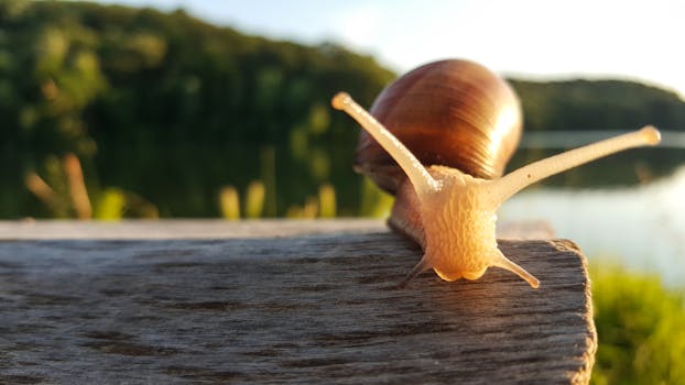 Charming close-up of a snail exploring a wooden surface near a lake in nature.
